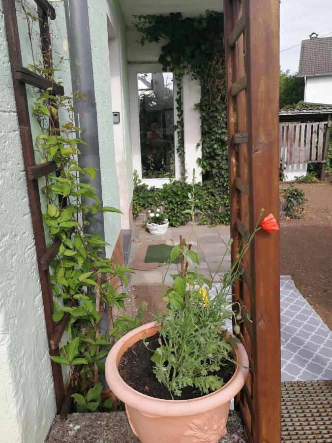 كيلبيرغ Appartement Eifel Im Haus Sybille المظهر الخارجي الصورة